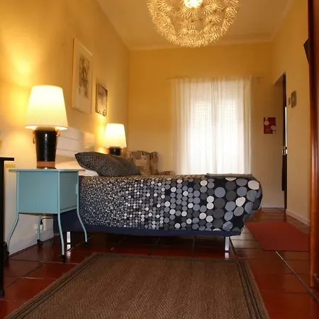 Ladeira Das Aguas Quentes Homestay Ponta Delgada (Sao Miguel)